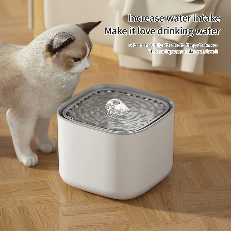 Fontaine à Eau Chat Silencieuse 3L pour une Nuit Paisible