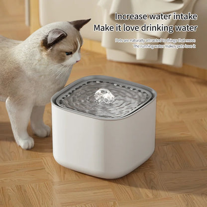 Fontaine à Eau Chat Silencieuse 3L pour une Nuit Paisible