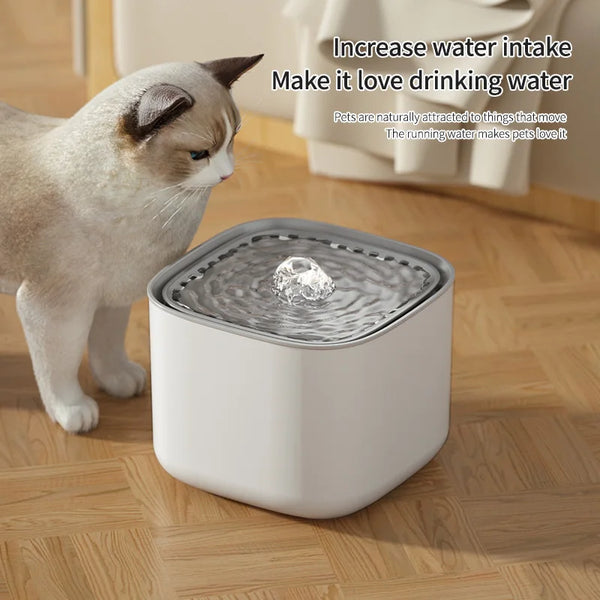Fontaine à Eau Chat Silencieuse 3L pour une Nuit Paisible