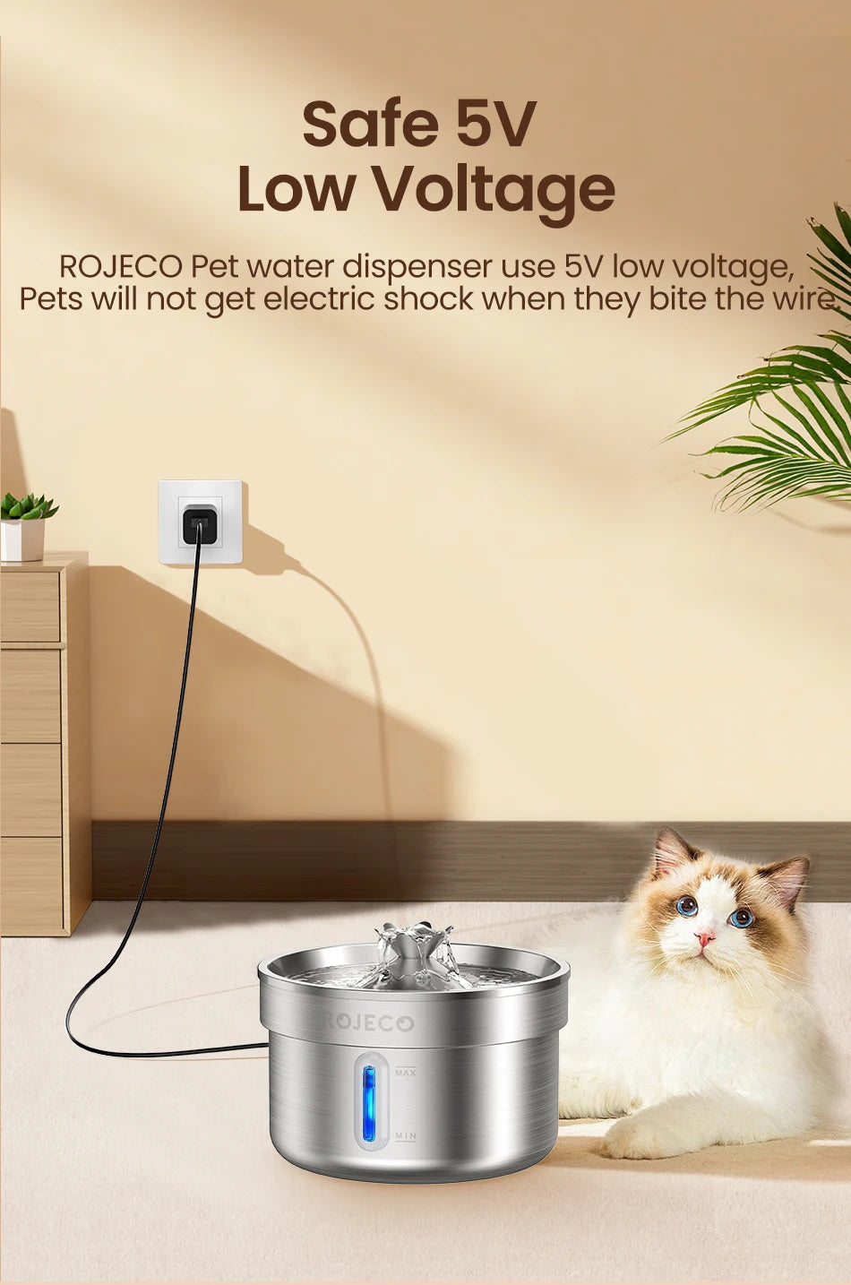 Fontaine à Eau Inox pour Chat avec distributeur automatique