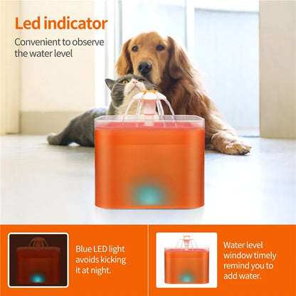 Fontaine à eau chat silencieuse 2L; LED avec Filtration et Distributeur USB