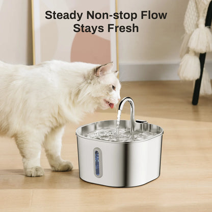 Fontaine a Eau Chat Inox 2.2L Ultra Silencieuse avec Filtre Intègre