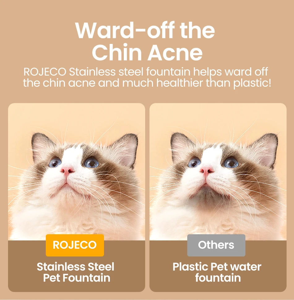 Fontaine à Eau Inox pour Chat avec distributeur automatique