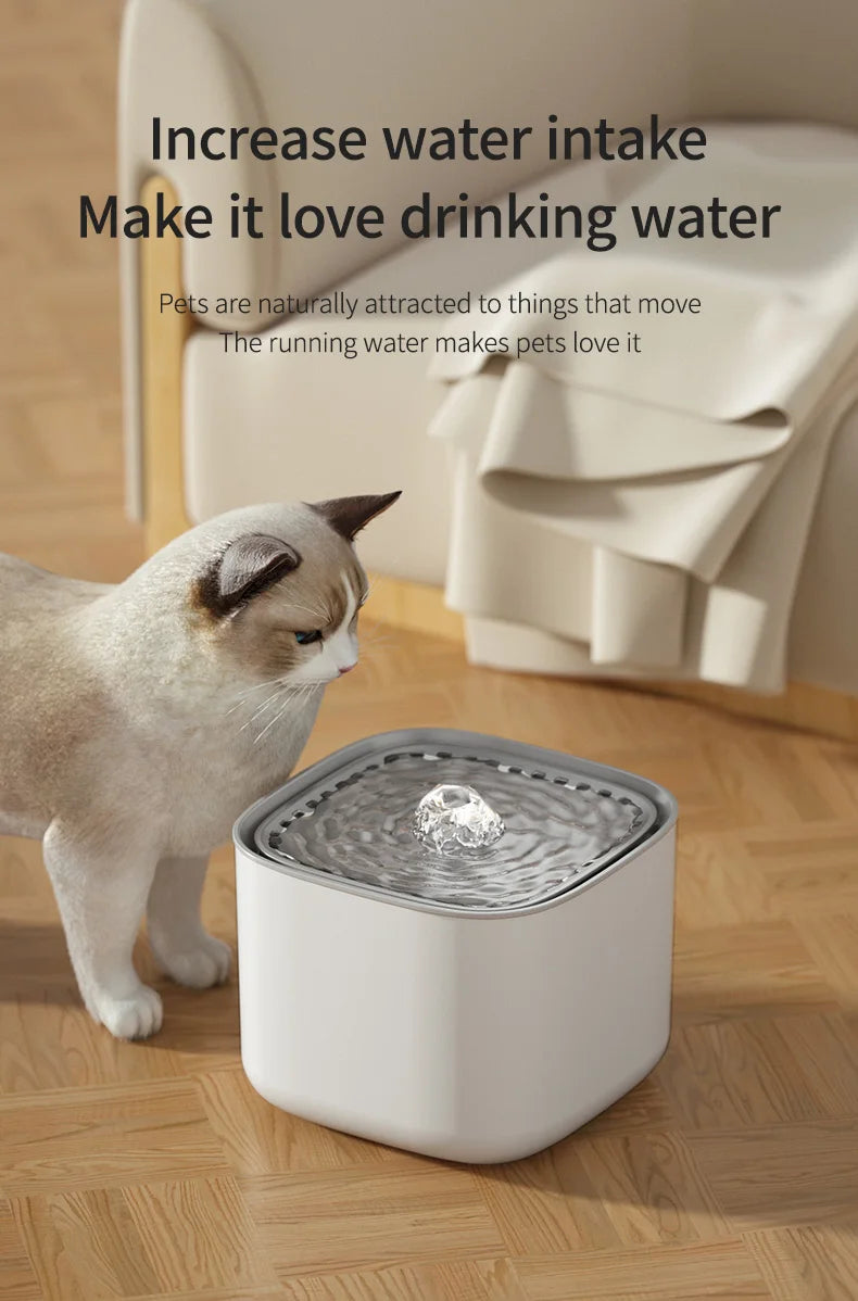 Fontaine à Eau Chat Silencieuse 3L pour une Nuit Paisible