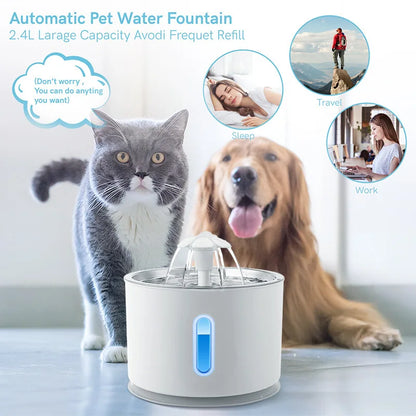 Fontaine a eau  Chat Inox Automatique Hygiénique et Durable