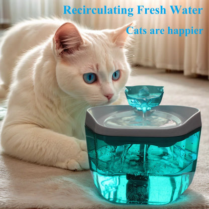 Fontaine a eau Chat Compacte 1.2L Rechargeable USB