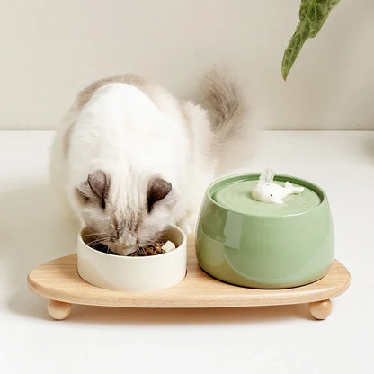 Fontaine à eau Chat en Céramique 1.3L Rechargeable USB