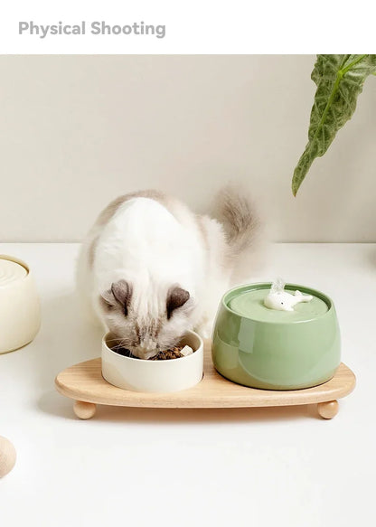 Fontaine à eau Chat en Céramique 1.3L Rechargeable USB