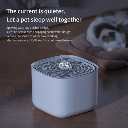 Fontaine à Eau Chat Silencieuse 3L pour une Nuit Paisible