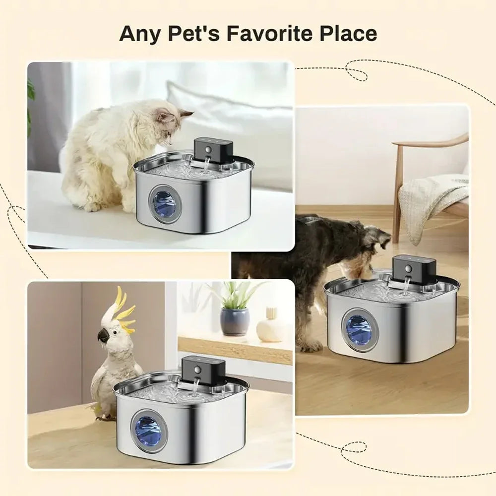 Fontaine à Eau Chat Inox 3.2L Sans Fil avec Detecteur de Mouvement