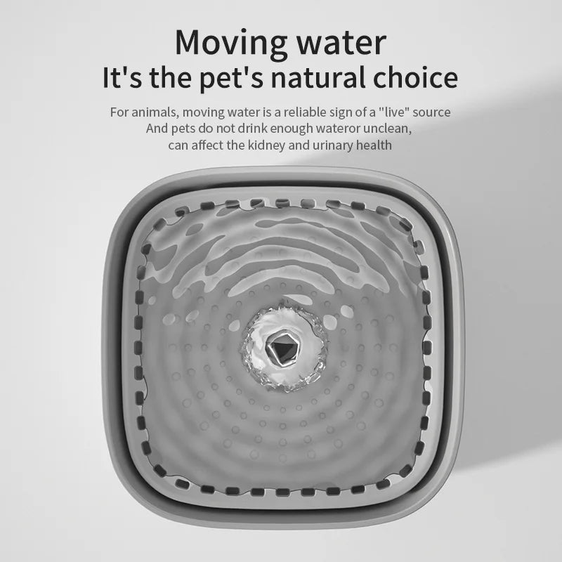 Fontaine à Eau Chat Silencieuse 3L pour une Nuit Paisible