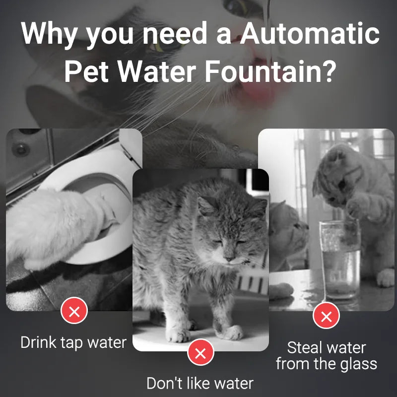 Fontaine à eau chat  rechargeable avec Filtre et Pompe Silencieuse