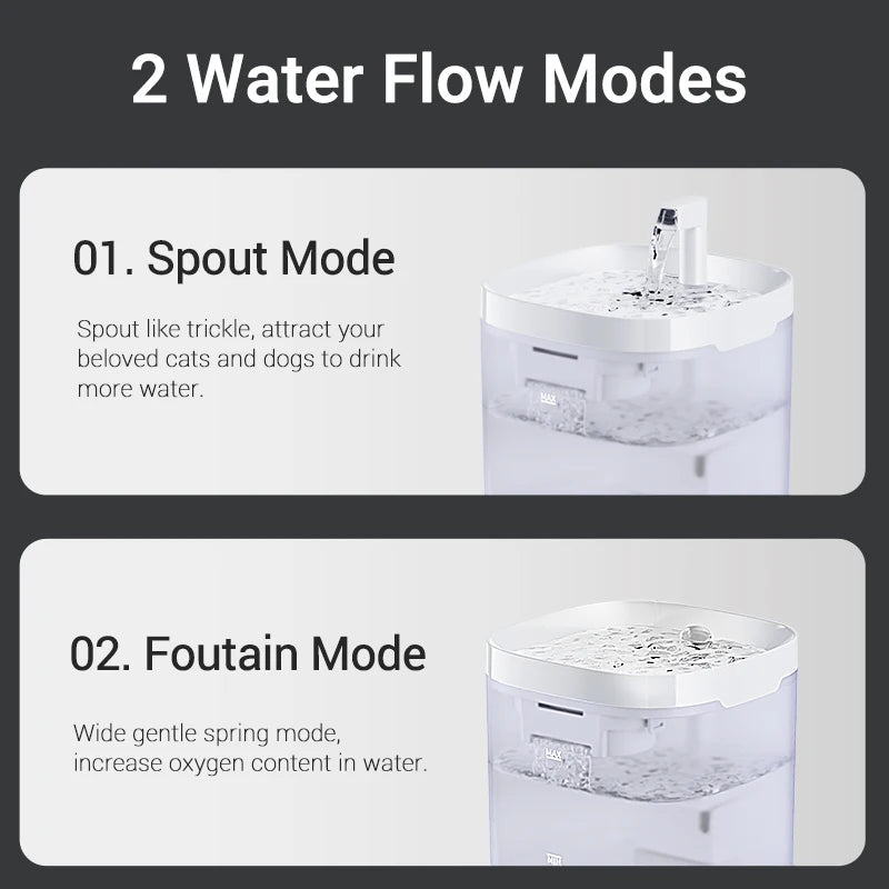 Fontaine à eau chat  rechargeable avec Filtre et Pompe Silencieuse