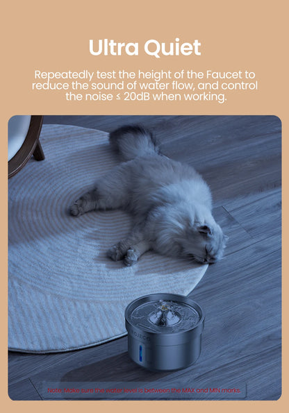 Fontaine à Eau Inox pour Chat avec distributeur automatique