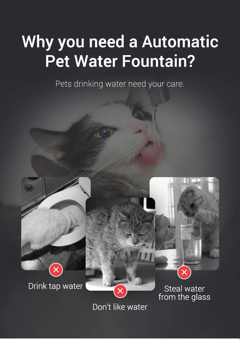 Fontaine à eau chat  rechargeable avec Filtre et Pompe Silencieuse