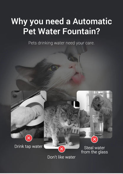 Fontaine à eau chat  rechargeable avec Filtre et Pompe Silencieuse