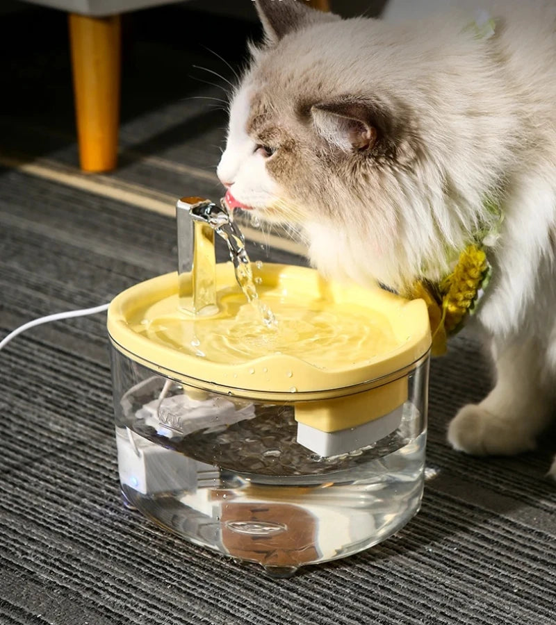 Fontaine a Eau Chat Silencieuse Filtrée Anti Surchauffe