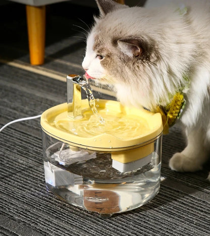 Fontaine a Eau Chat Silencieuse Filtrée Anti Surchauffe
