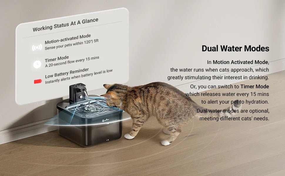 Fontaine a eau Chat Inox 2.5L Sans Fil avec detecteur de mouvement