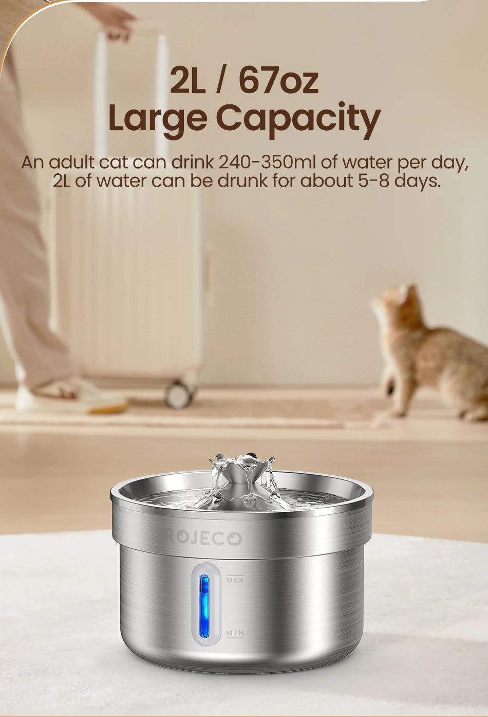 Fontaine à Eau Inox pour Chat avec distributeur automatique