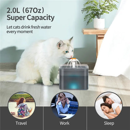 Fontaine à eau chat silencieuse 2L; LED avec Filtration et Distributeur USB