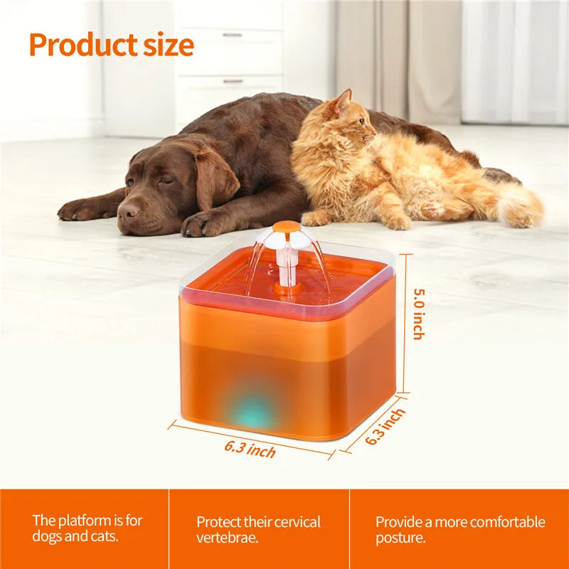 Fontaine à eau chat silencieuse 2L; LED avec Filtration et Distributeur USB
