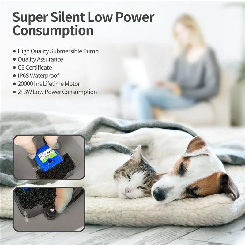 Fontaine à eau chat silencieuse 2L; LED avec Filtration et Distributeur USB